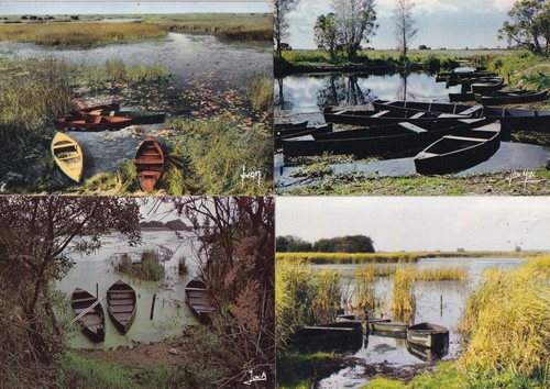 Lot cartes postales - lot,